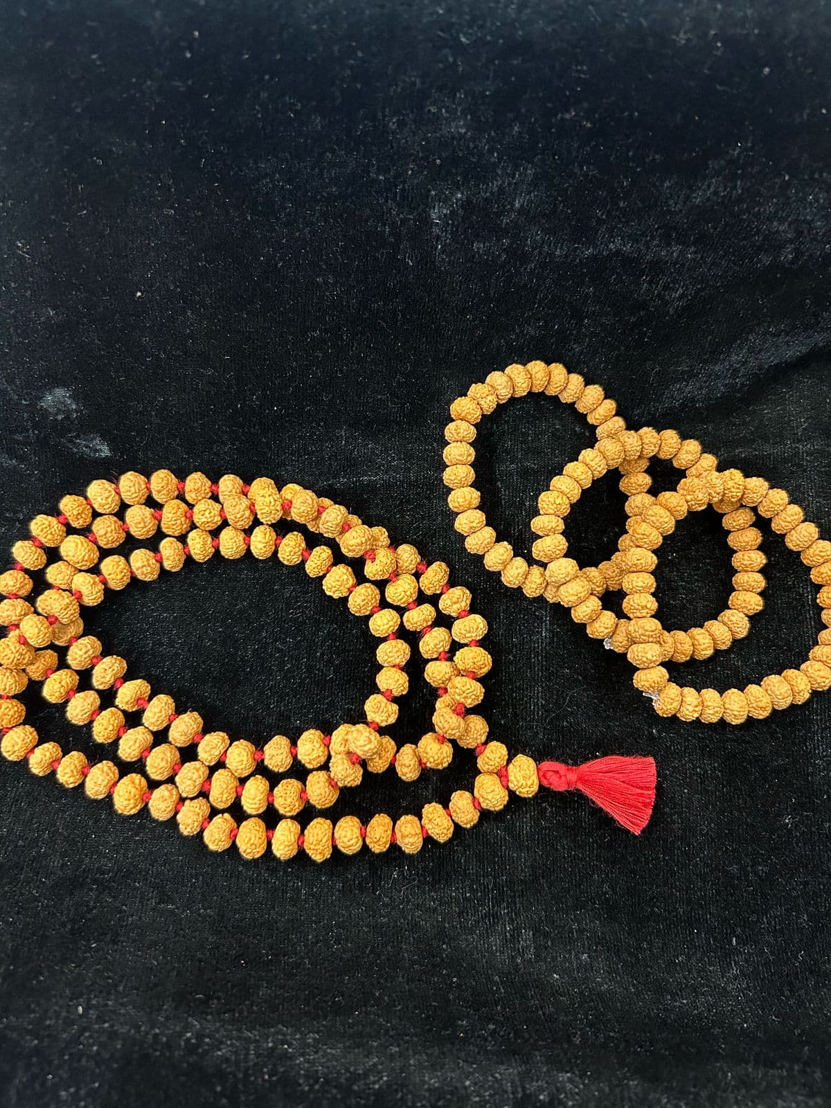 7 Mukhi Rudraksha Mala & Bracelet Combo