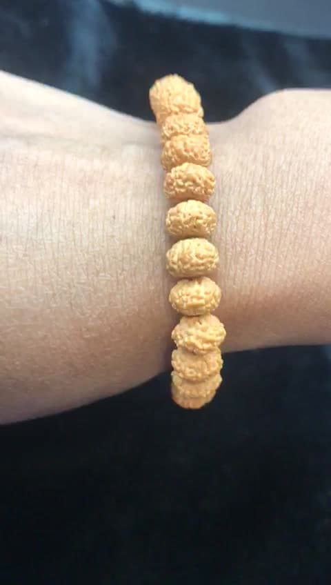 7 MUKHI RUDRAKSHA BRACELET