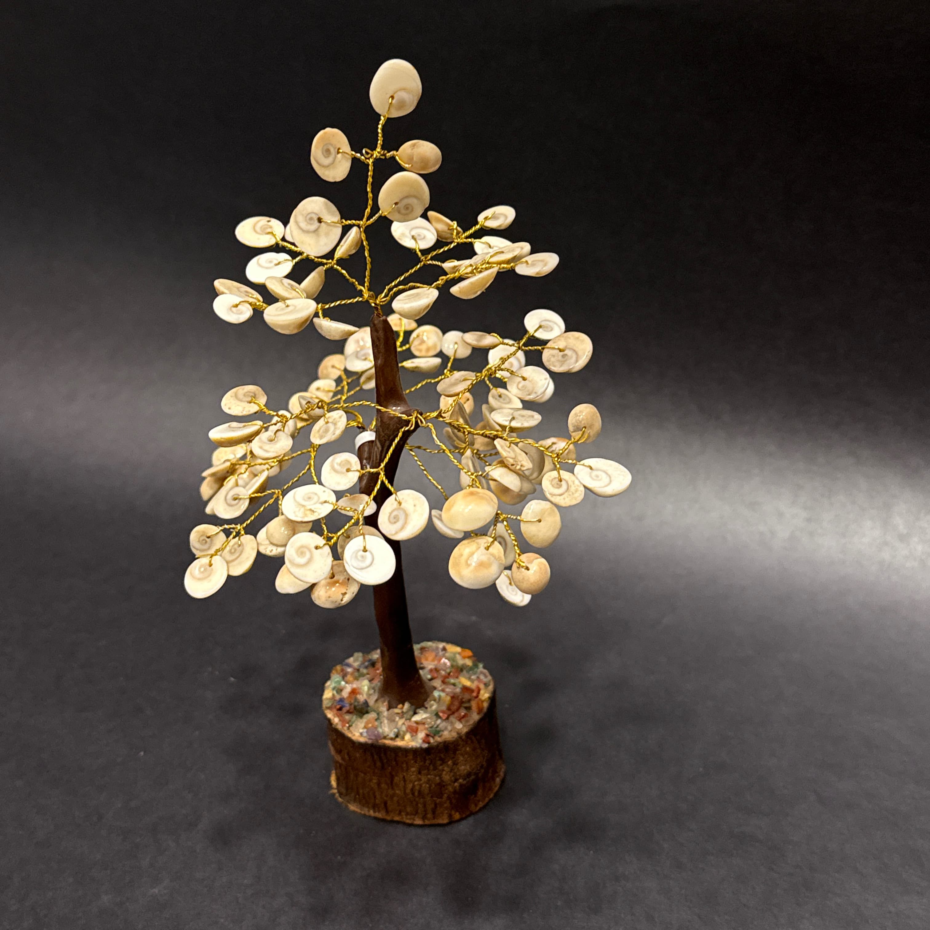 Gomti Chakra Tree