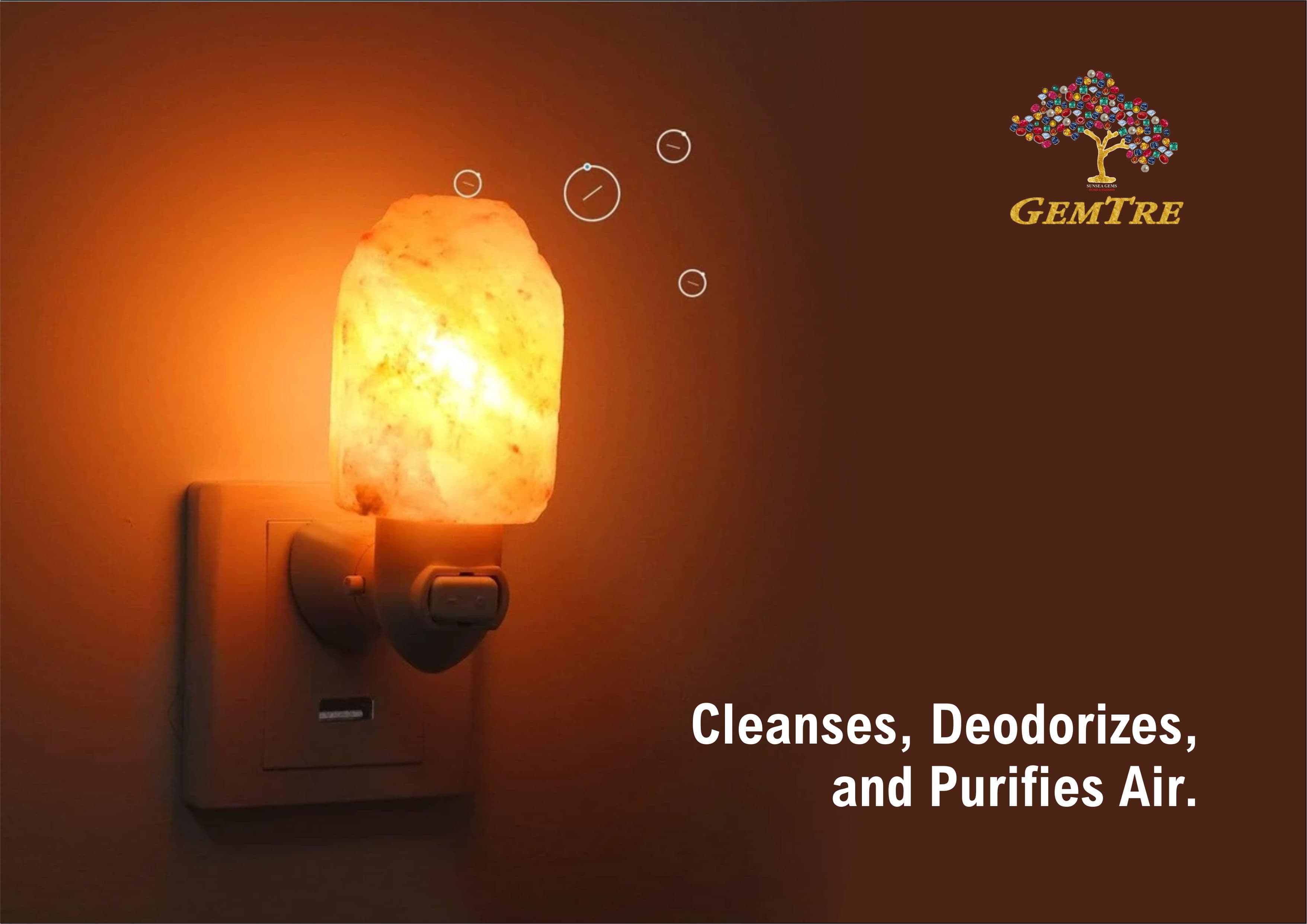 Plug Holder Natural Salt Lamp