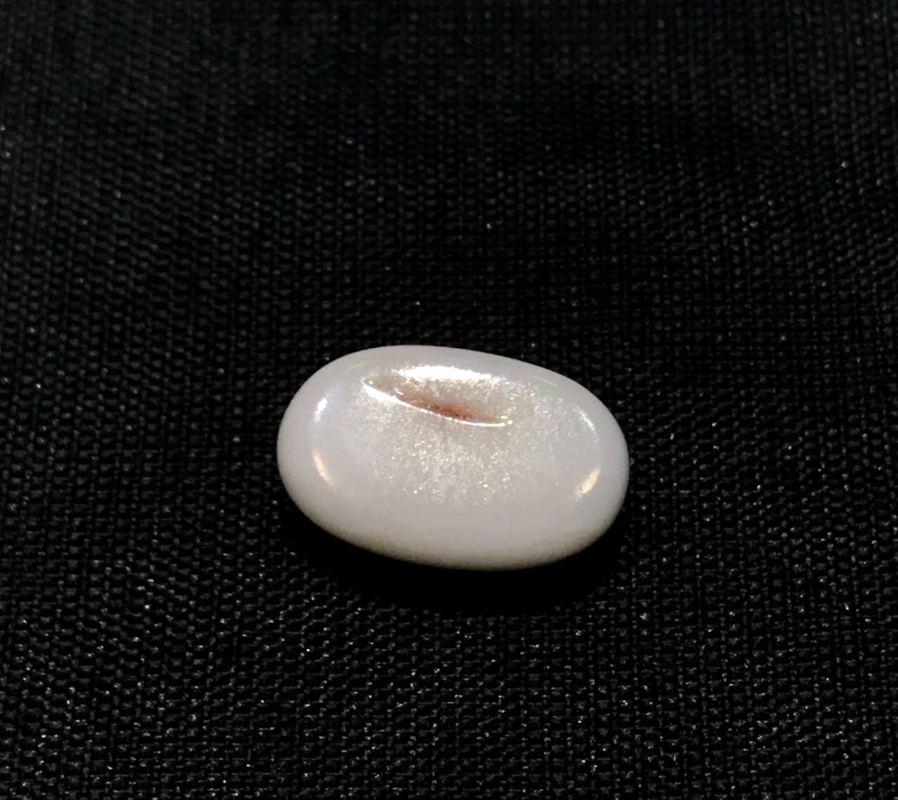 Italian Coral- Moonga 8.25 Ratti Gemstone 13052259