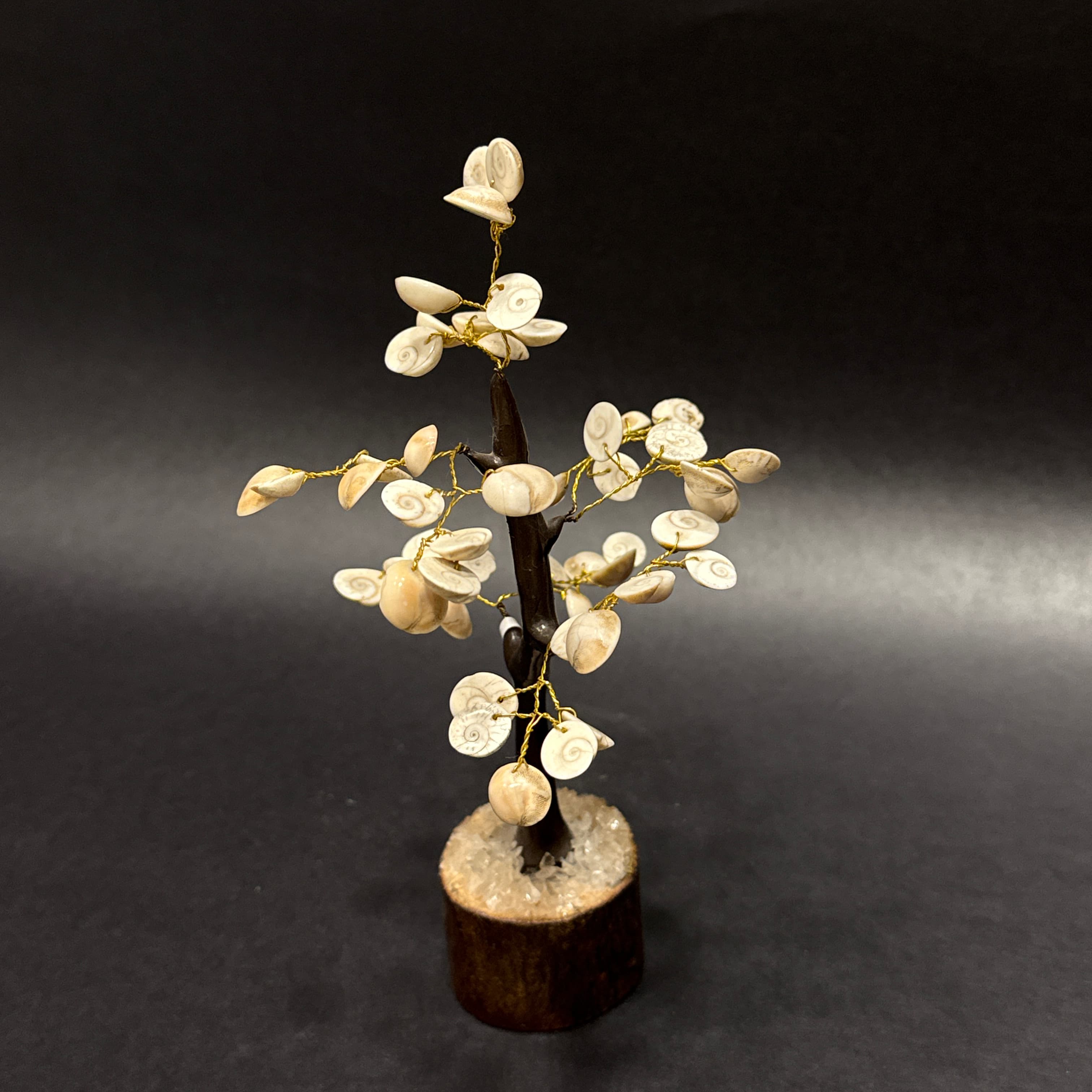Gomti Chakra Tree