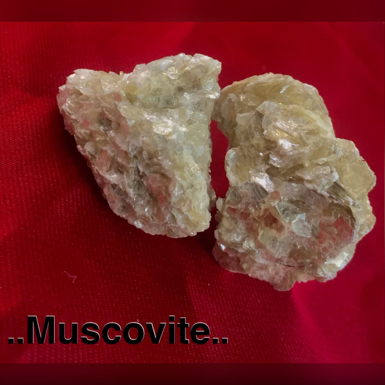 Muscovite Cluster