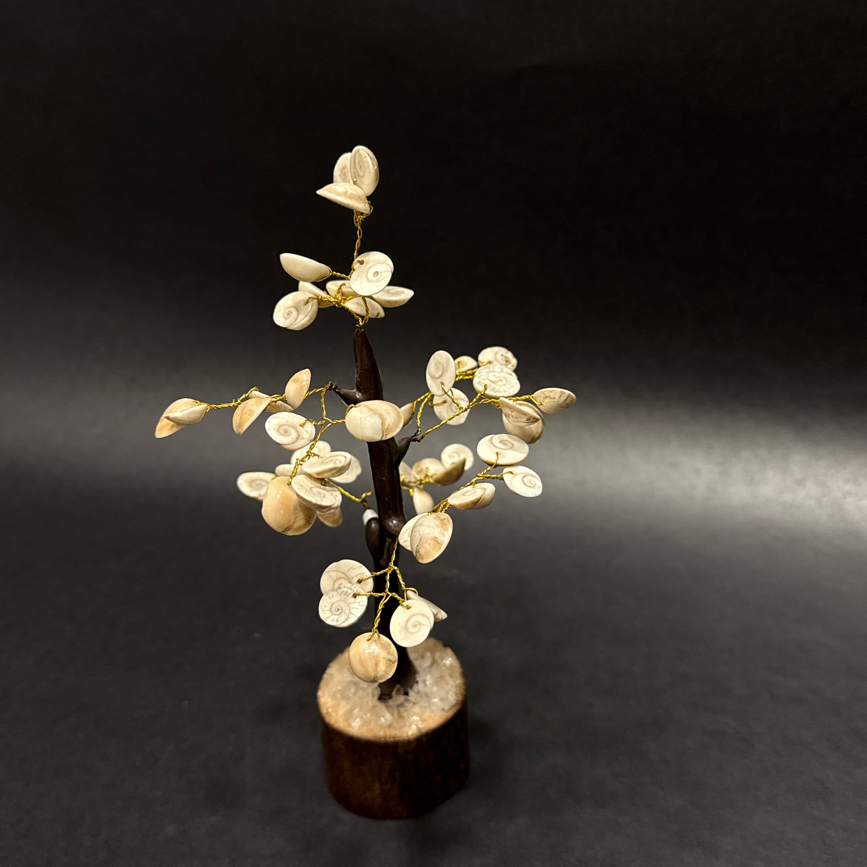 Gomti Chakra Tree
