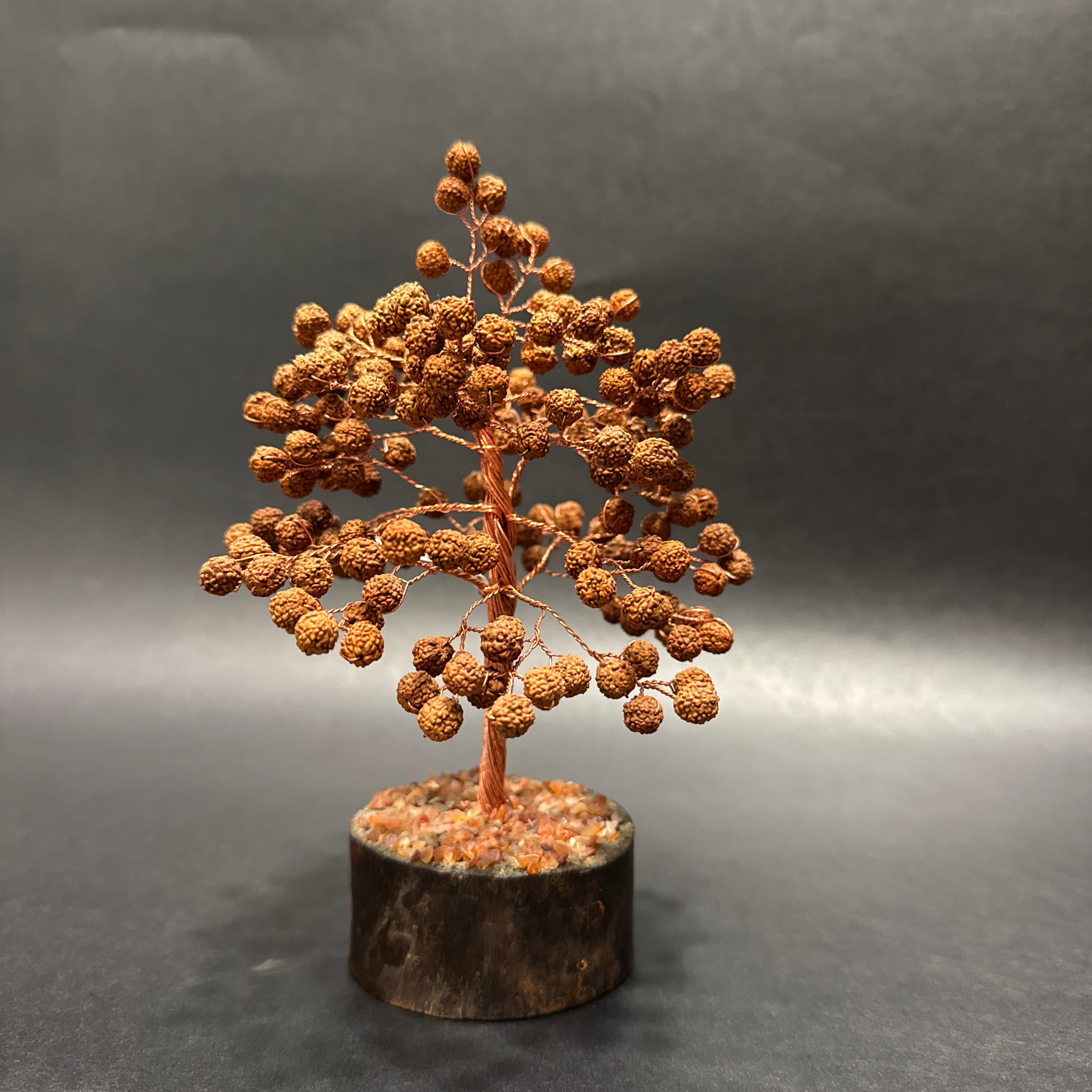 Rudraksha Tree