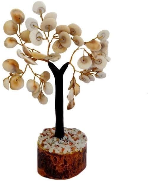 Gomti Chakra Tree