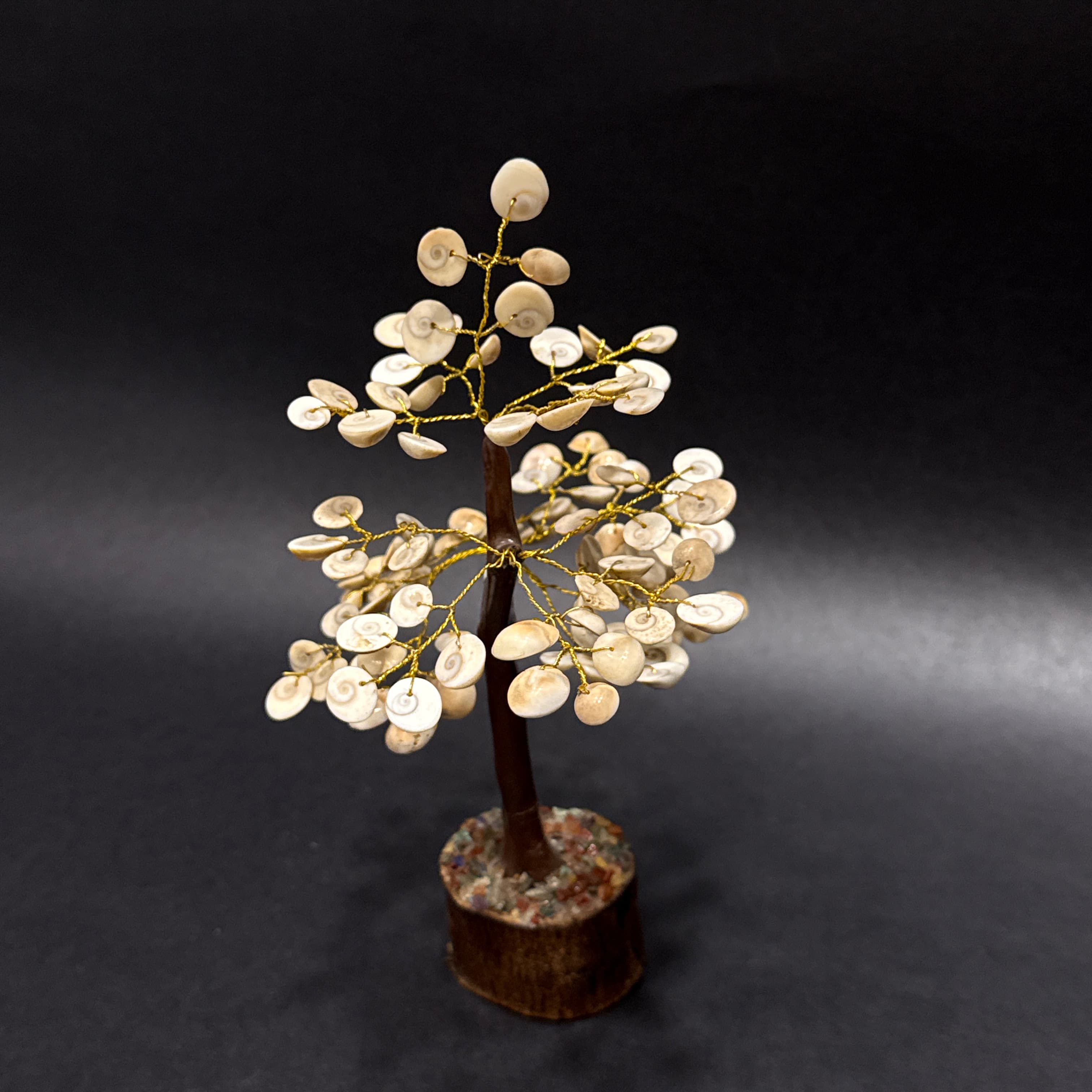Gomti Chakra Tree