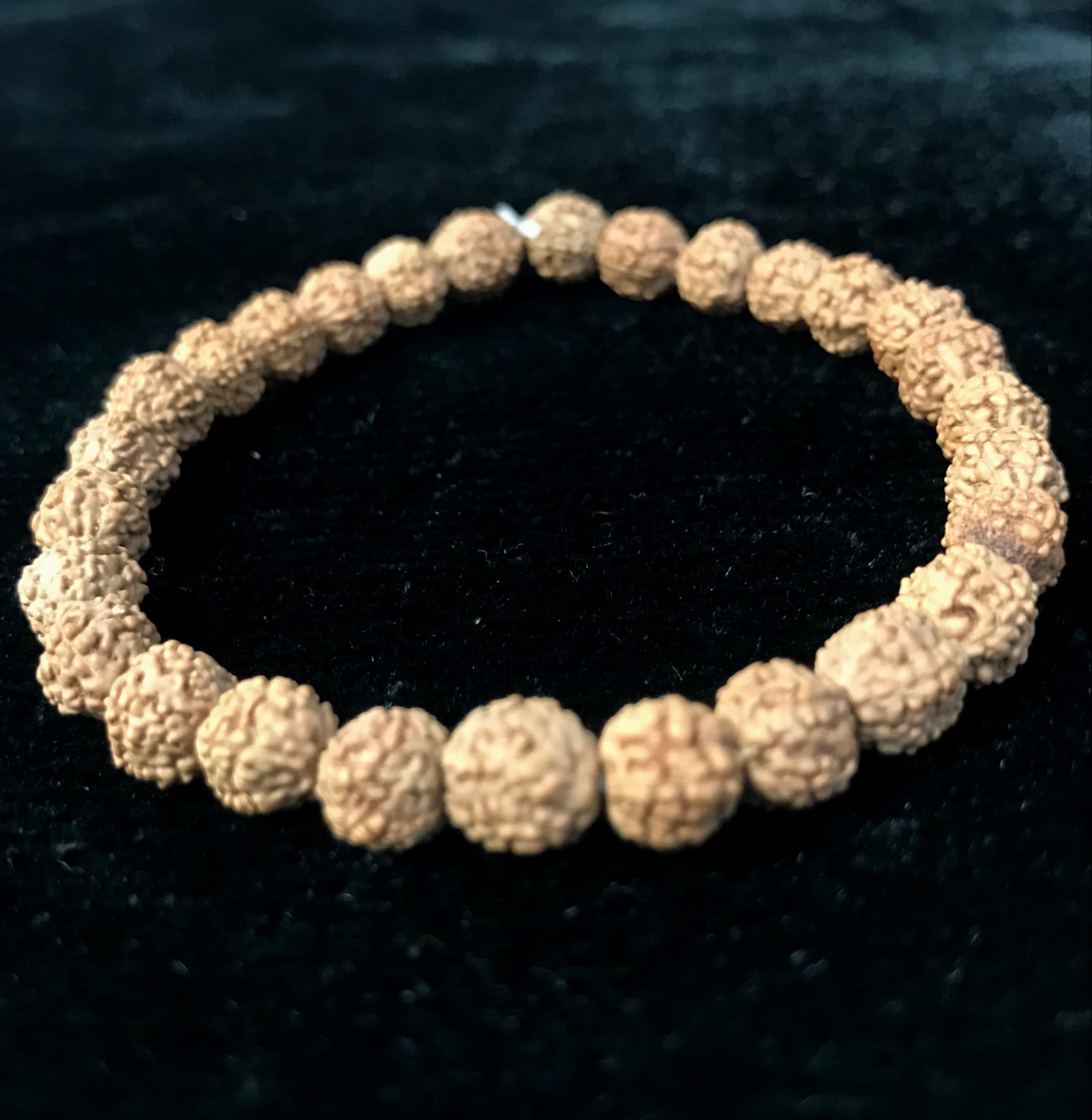 Genuine 5 Mukhi Rudraksha bead