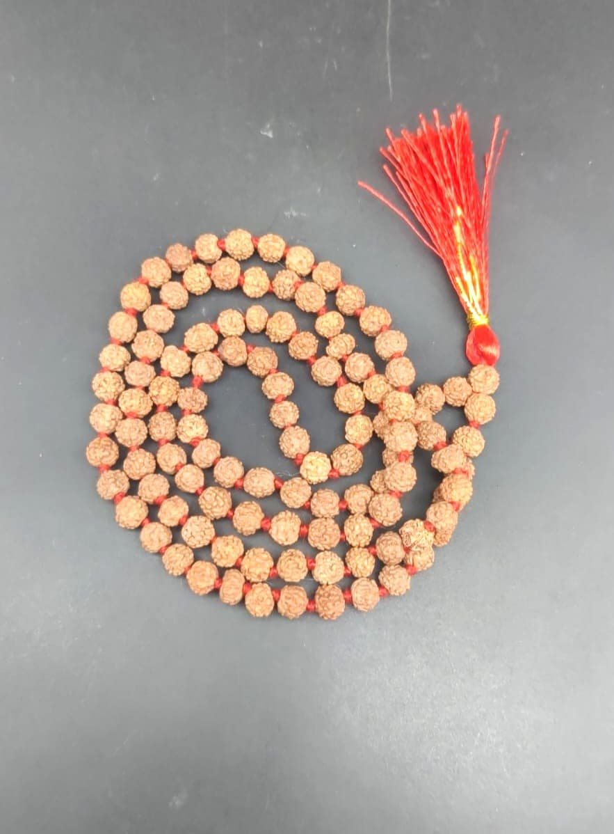 5 Mukhi Rudraksha mala strung on red thread