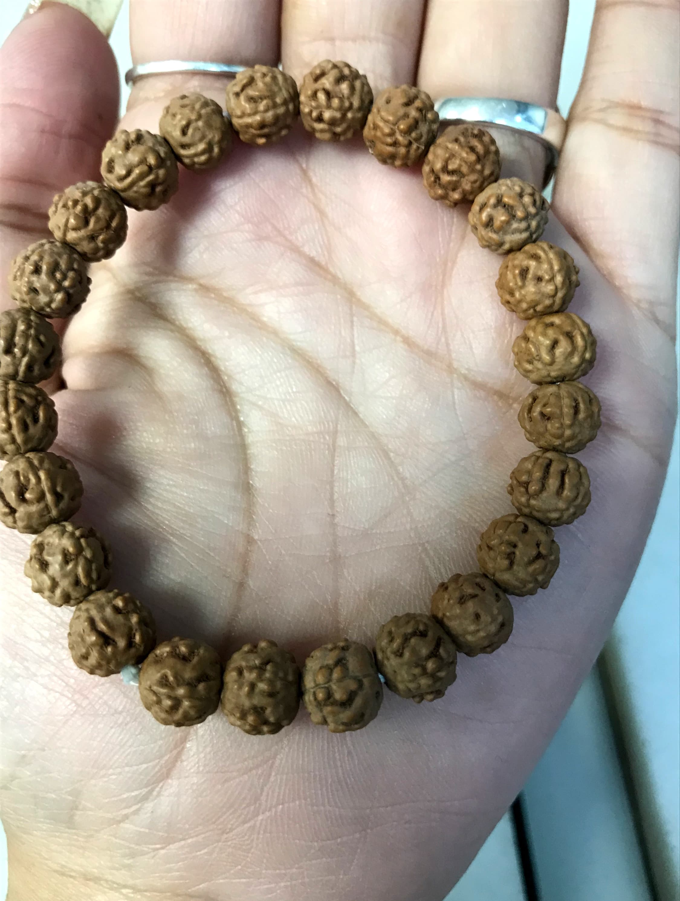 5 Mukhi Rudraksha bracelet, genuine beads